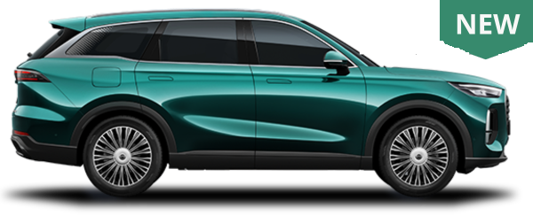 Tiggo 9